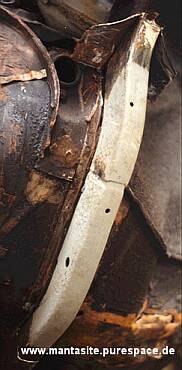 Der "behandelte" innere Teil des Tr�gers