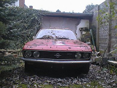 Manta mit Gr�nspan